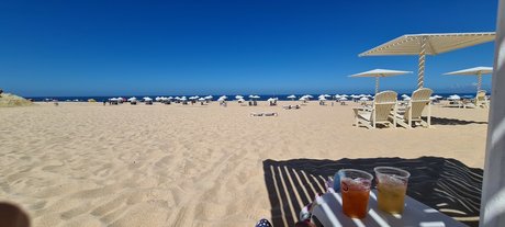 Muscle Boy high quality actress img