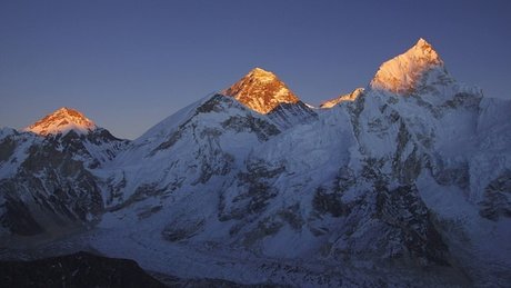 Daniel M ller actress picture