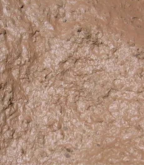 Muddy Jones star hd pic