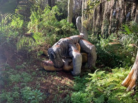 gaybuttsexpogchamp model pornographic pictures