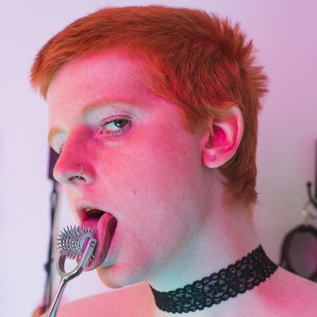 Vex Venom pornstar perfect picture