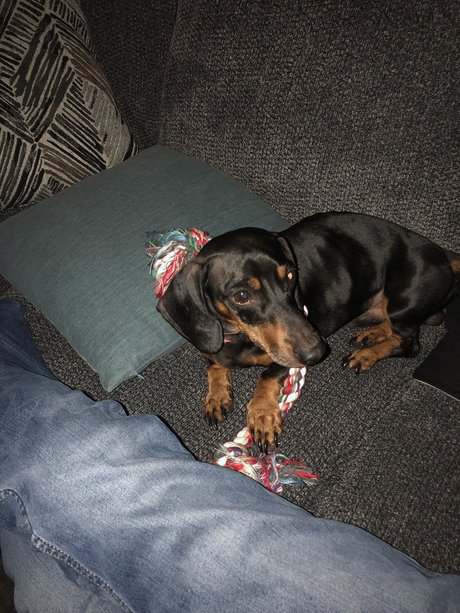 Daniel Gardner Jr_ model sexy galleries