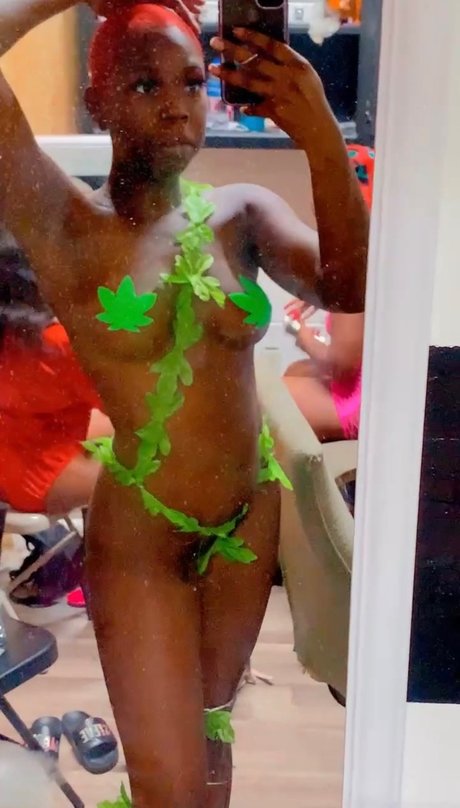 nina star pornographic photo