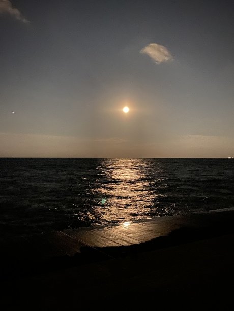 Myles long pornstar best pics