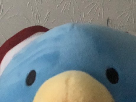 Micah he him_ pornographic actress pictures