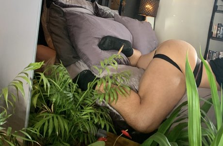 Jacque El xxx star img