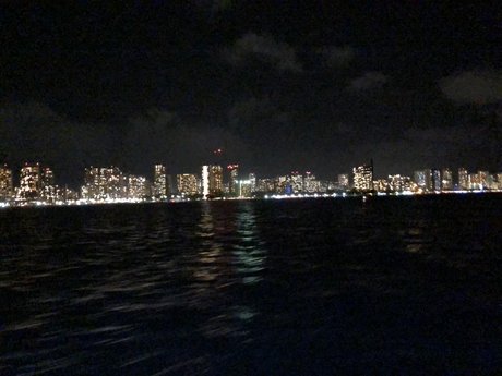 Dorymonster top model picture