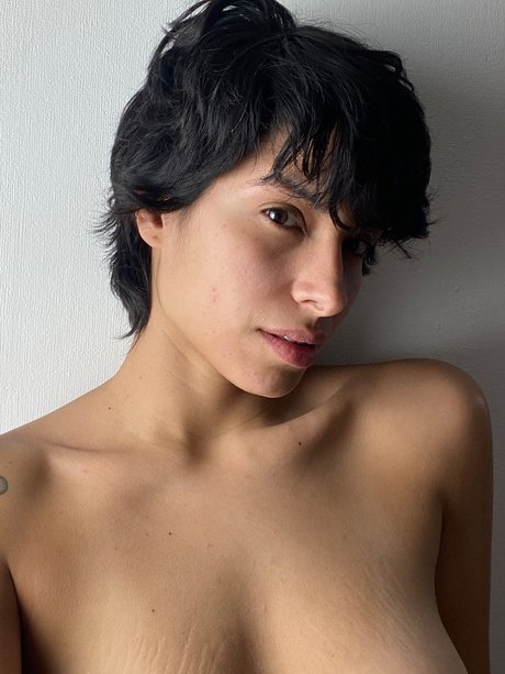 Danella top star pics