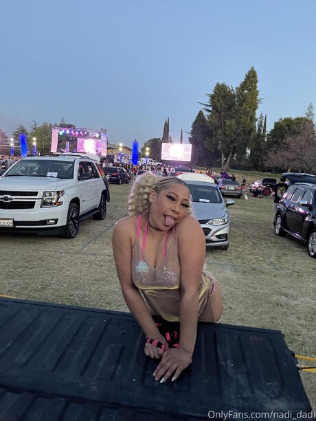 Nadi Hustle star perfect image