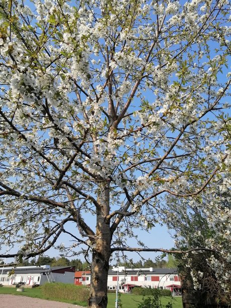 Curvy Libby nice pornstar photos