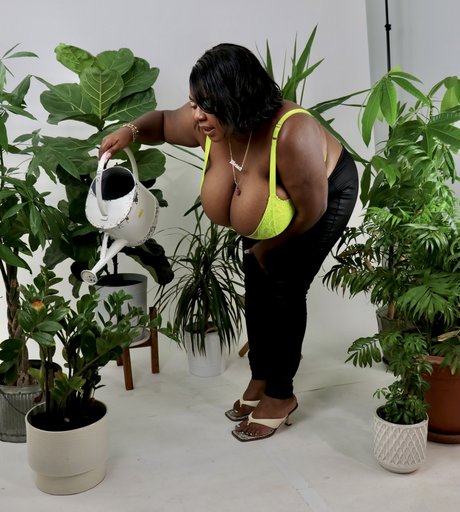 Da Plump best actress pictures