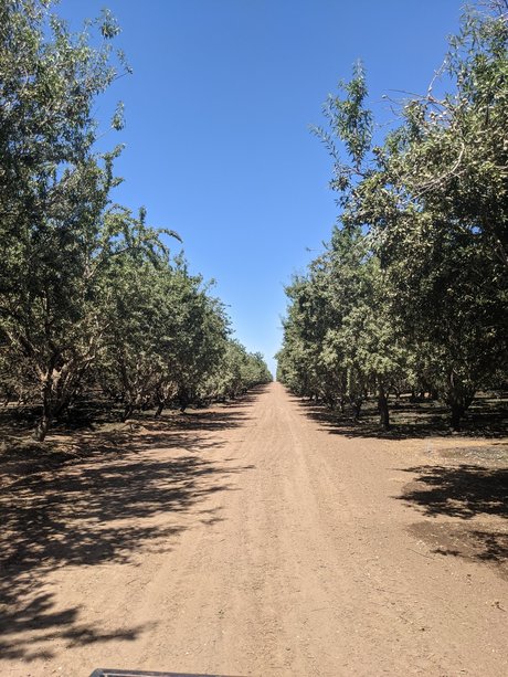 Farmer Adam pornstar beautiful photo