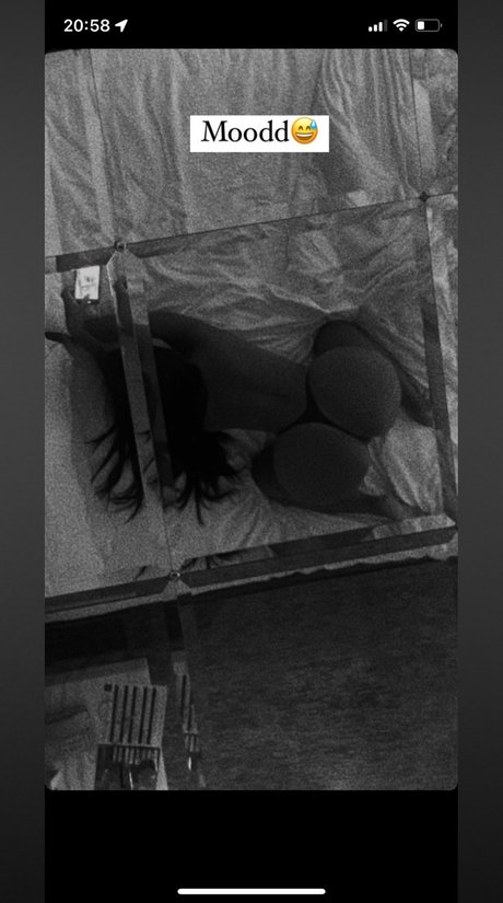 DA REAL DOLLY porn actress archive