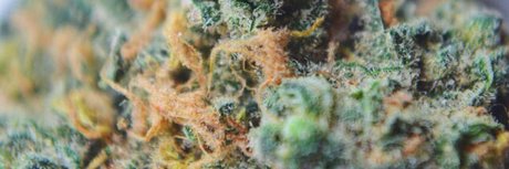 Dev93_ pretty star images