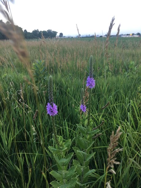 Narina erotic star archive