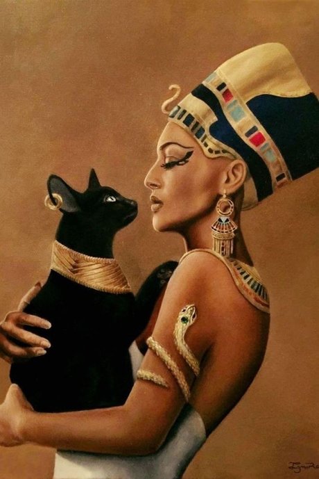 _NAOMI VIP star high quality image