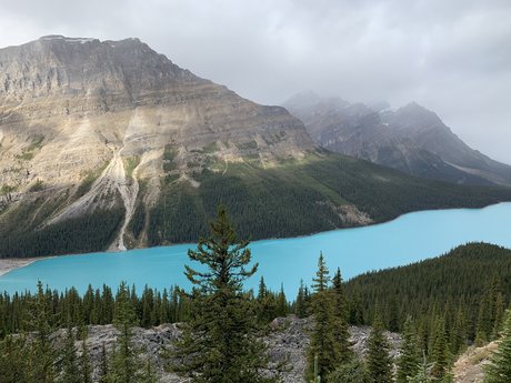 Nancy Van nice model pictures