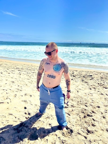 DixonRiley model free img