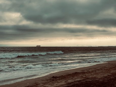 DixonRiley free star images