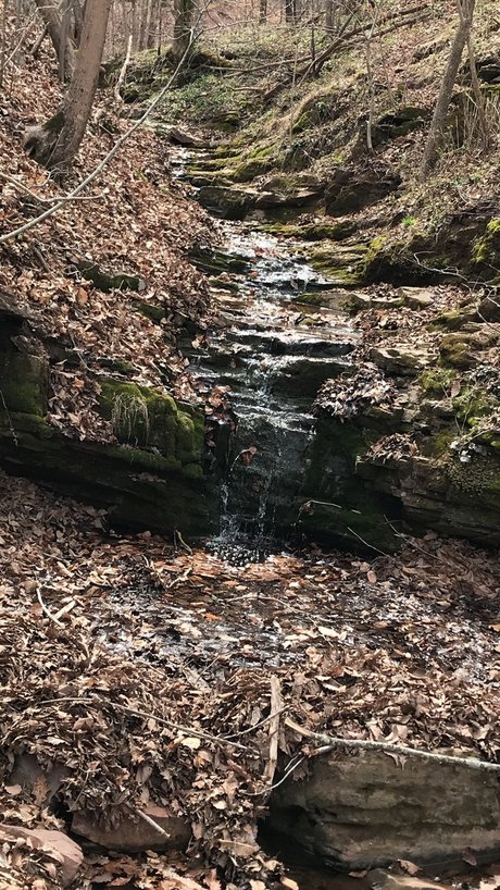 Z0R0D0M star perfect picture