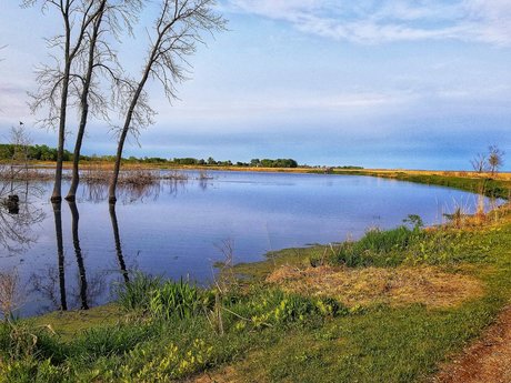 Canoe Paddler pretty star pics