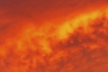 naturalnaturegrl erotic actress pictures