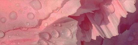 natalie FREE pretty pornstar image