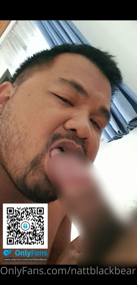 _Natt Black Bear_ model adult photo