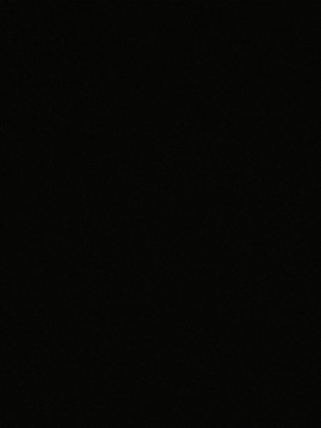 Donovan Riser pornstar sexy picture