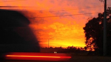 Freekman porn star pics