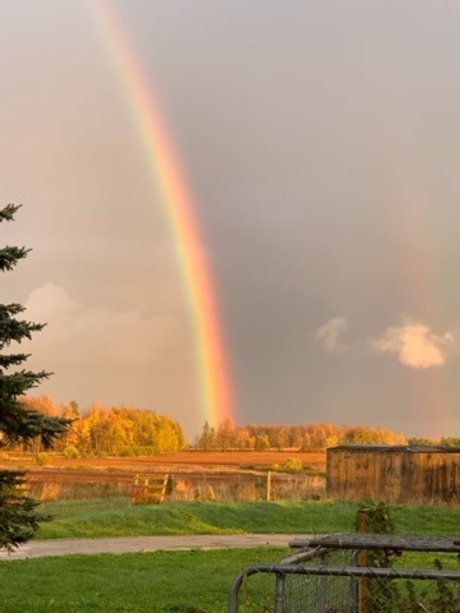 Chloena Starchild model exclusive image