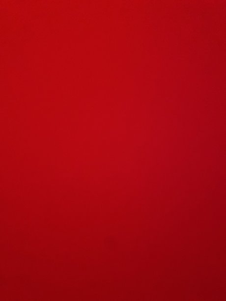 Lil Ally model picture