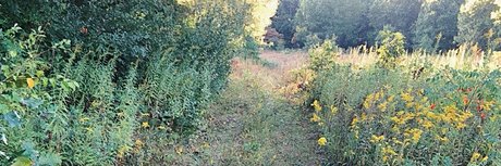 N A T U R E B A B E S exclusive actress picture