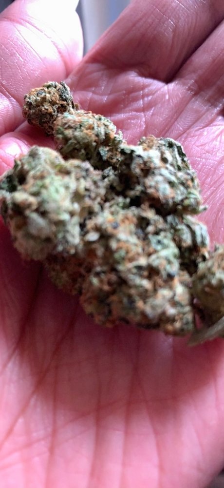 CraveJames pornstar nice picture