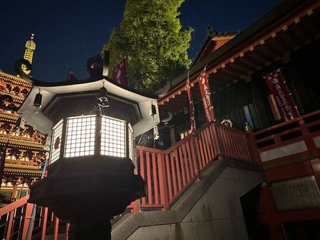 Cova model high quality photos