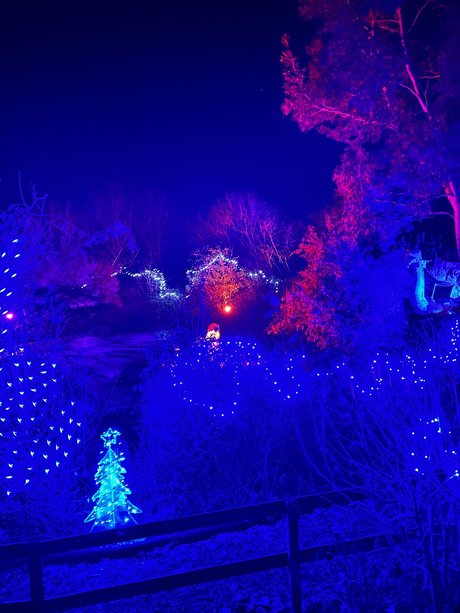 victoria preece xxx actress galleries