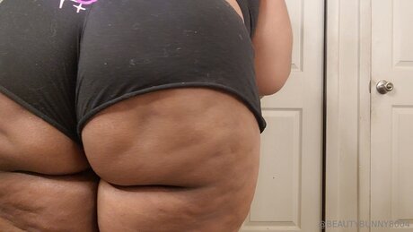 beautybunnny8004 top pornstar photos