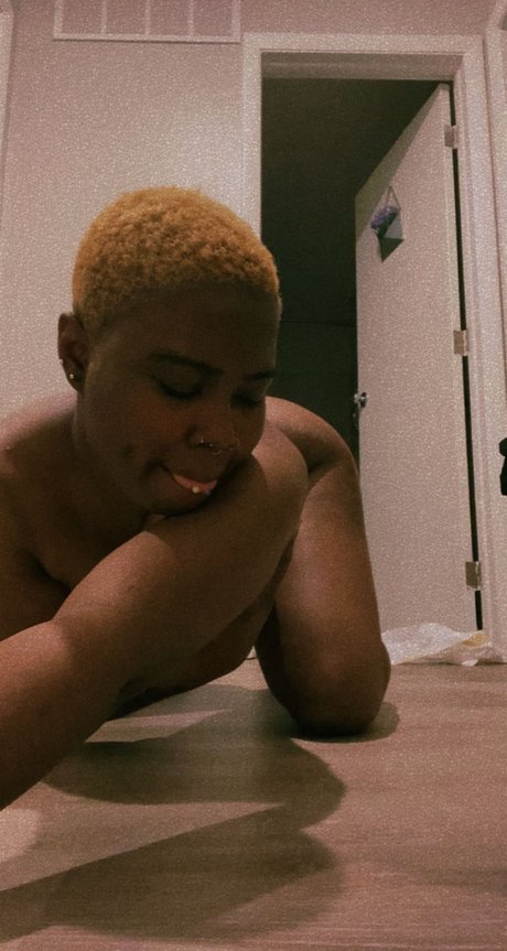 Nessanaj model top picture