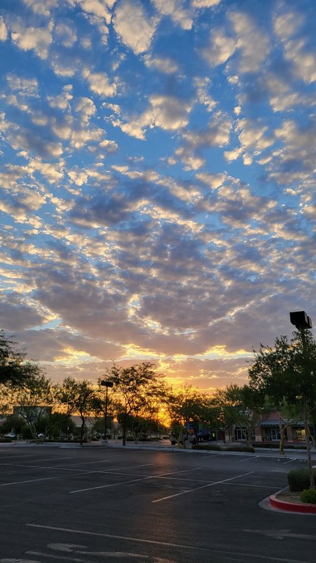 Nerdy Eye Candy star xxx galleries