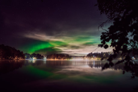 Neonerotic naked actress photo