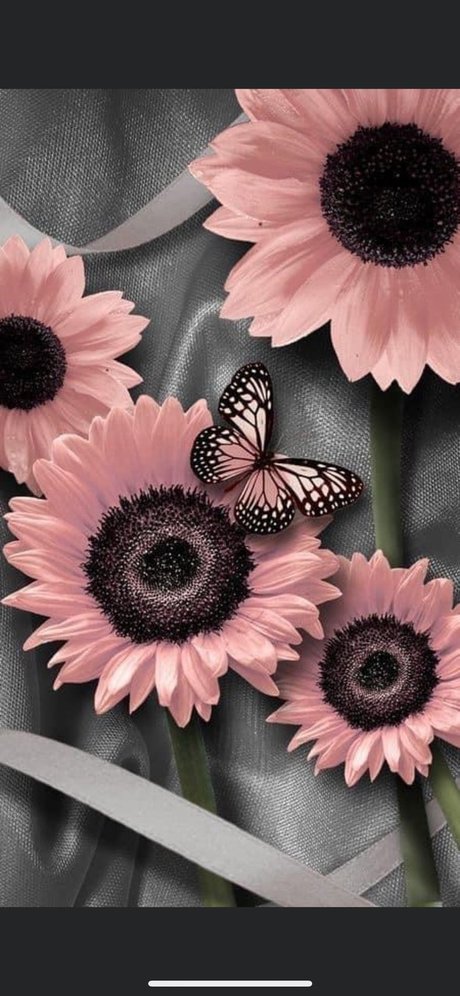 Elegant Scarlett model art gallery