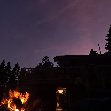 NicNeko nice actress pictures