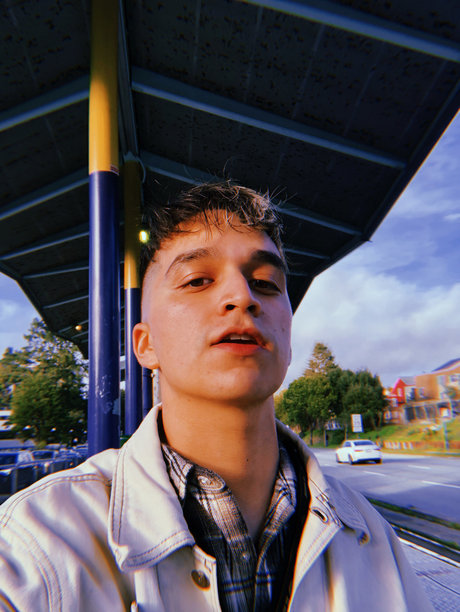 Scratch the Pup high quality model gallery