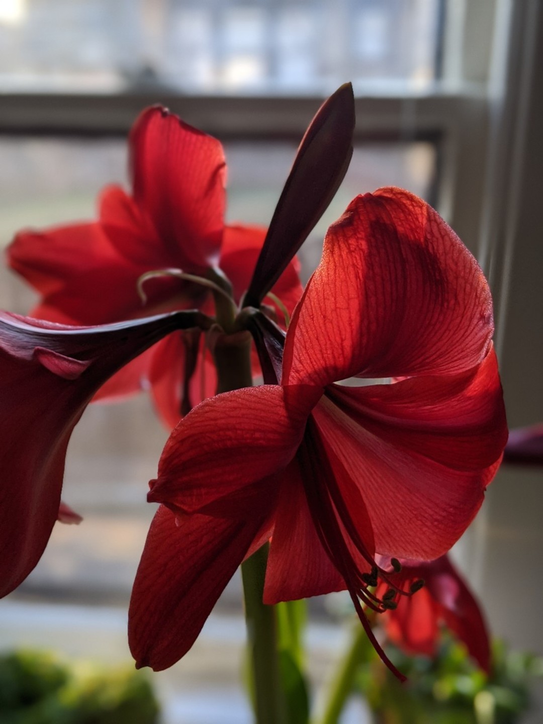 Crystine_ best actress galleries