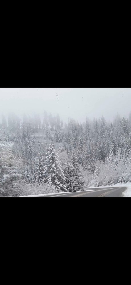 Casey lee Pappan pornstar xxx archive