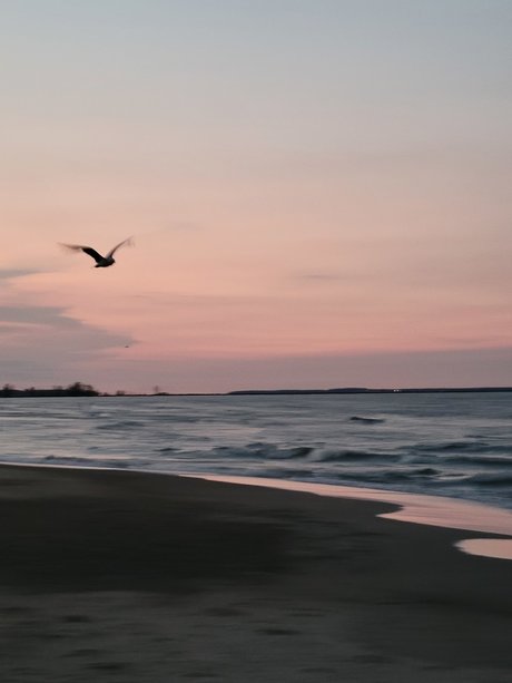 Nicole Phillips nude actress image