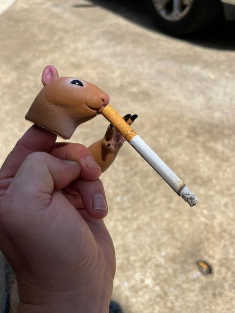 NightOwl nice actress image