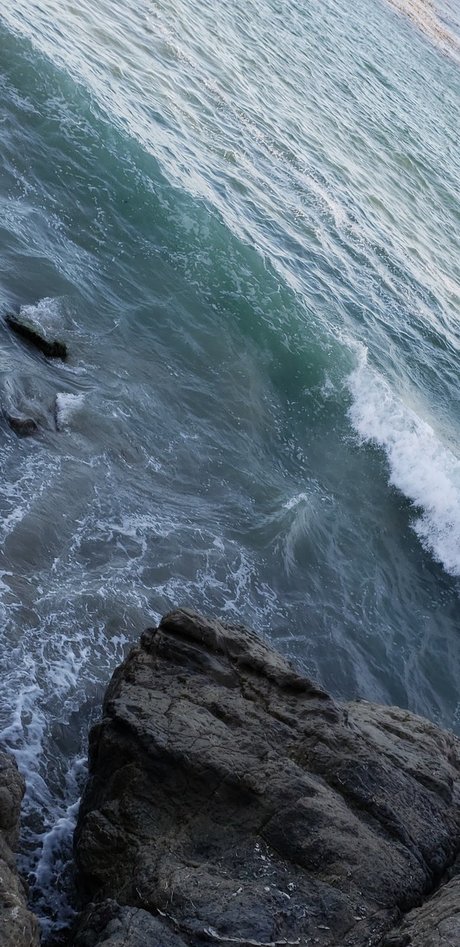 dadddy sex model photos