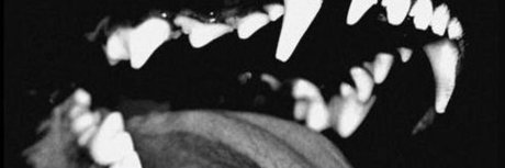 Diabloodon model pornographic galleries