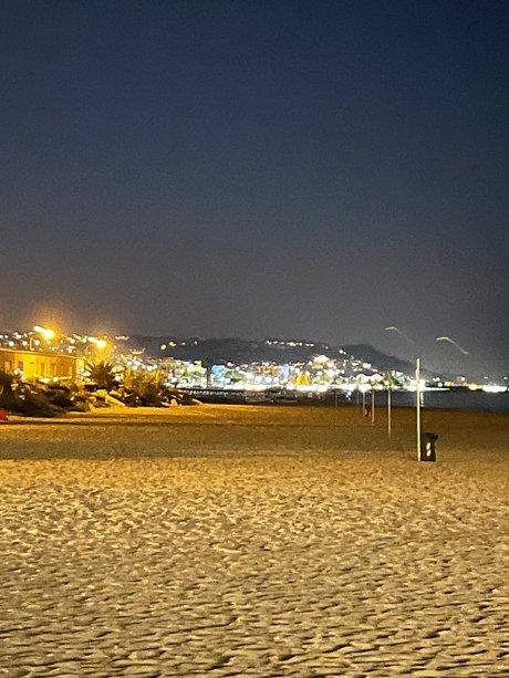 lepre top star image